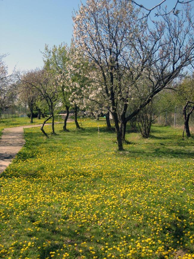 Apartments Fruskogorje Сремски-Карловци Экстерьер фото