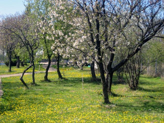 Apartments Fruskogorje Сремски-Карловци Экстерьер фото